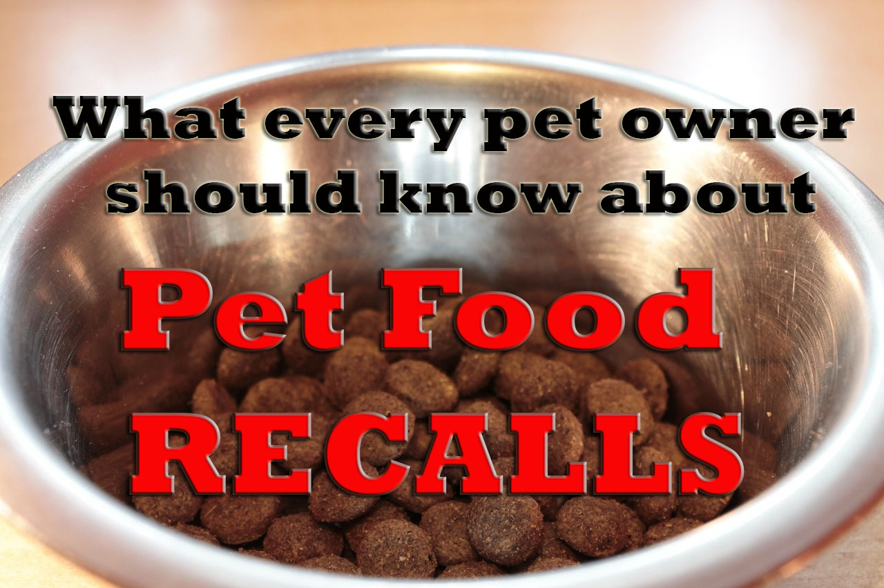 The Reality of Pet Food Recalls – Clinical Nutrition Service at Cummings  School