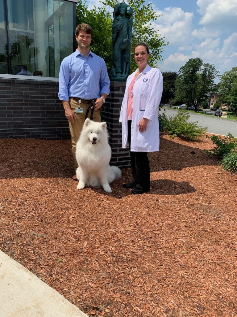 Most of us know how important a balanced diet is for our own optimal health. The same holds true for our pets. For Max, a Samoyed suffering from painful hip dysplasia, conservatively managing his orthopedic condition with weight loss avoided the need for surgery.