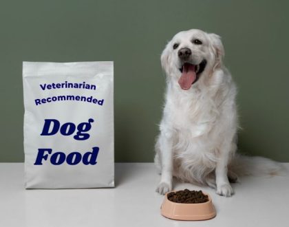 Veterinarian Recommended Pet Foods: What You Need to Know