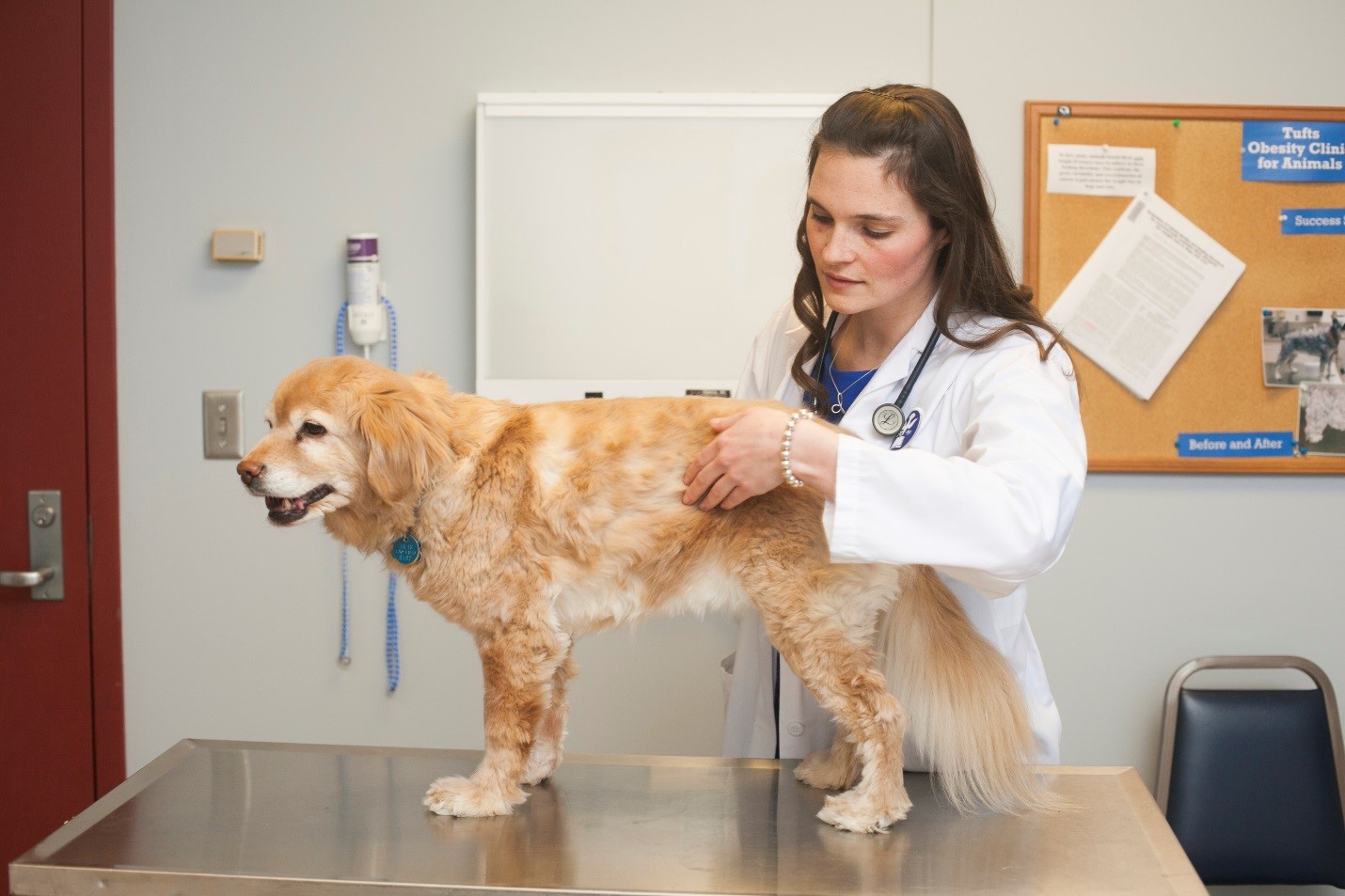 What’s Your Pet’s Score? Assessing Muscle Condition