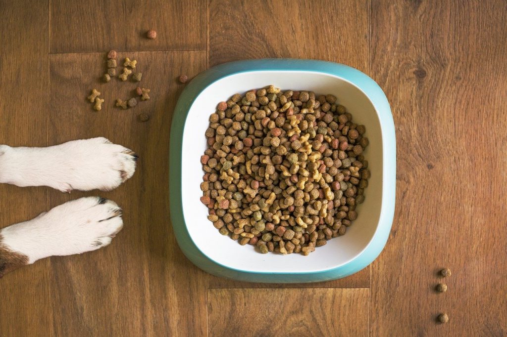 A low sodium diet can be an important modification for a pet with heart disease. However, many pet owners do not realize how much sodium is in commercial pet foods and common human foods fed to pets. Test your sodium savvy with our quiz!