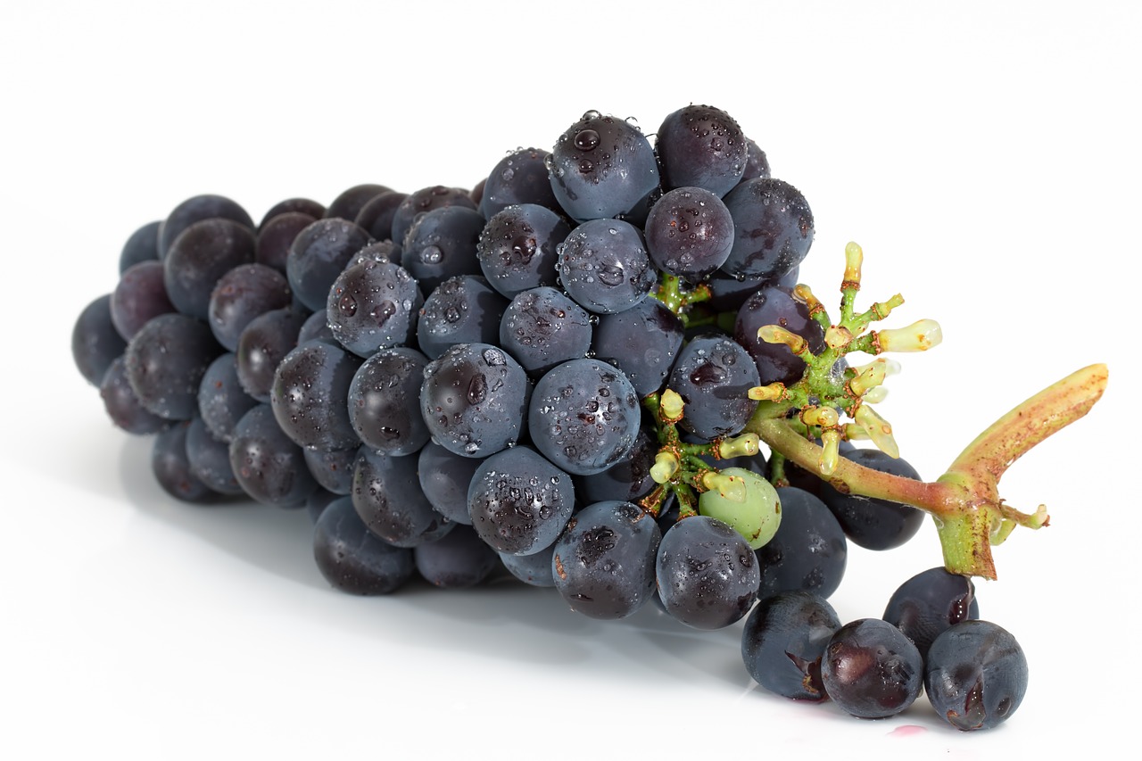 ‘In the News’: Updates on Grape Toxicity