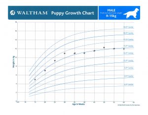 Puppy Growth Charts  WALTHAM Petcare Science Institute