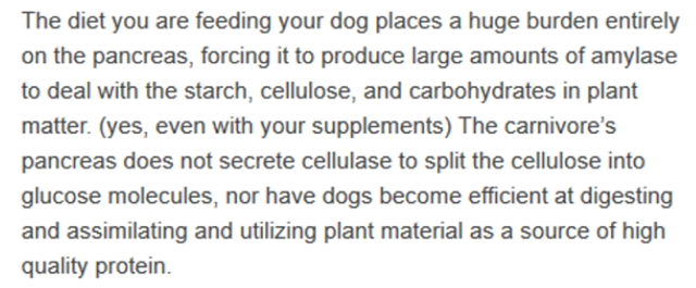 Comment 1 from vegan dog article